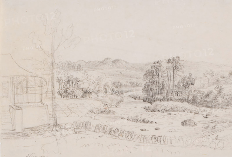 House by a river and landscape in Nanggung, west of Buitenzorg, West Java, drawing, topographical view, inscription: 'Nangong', draftsman (artist): Adrianus Johannes Bik, c. 1816 - c. 1846, draftsman (artist), Java, inorganic material, paper, chalk, sketch in black chalk, height 210 mm x width 305 mm, A wide pencil sketch of a landscape showing rolling hills in the distance and a river or stream flowing through the middle ground with scattered rocks along its bed. Clusters of trees and dense foliage line the water and extend across the plains toward the hills, with several taller, slender trees grouped near the center right. In the left foreground there is a rough structure with vertical and horizontal lines suggesting a building edge and a canopy or roof detail, and a tall tree trunk rises near that structure with loose outlines of branches and leaves. The foreground shows textured ground, low shrubs, and suggested vegetation along a fence or hedge line, and the sky area is mostly bla...