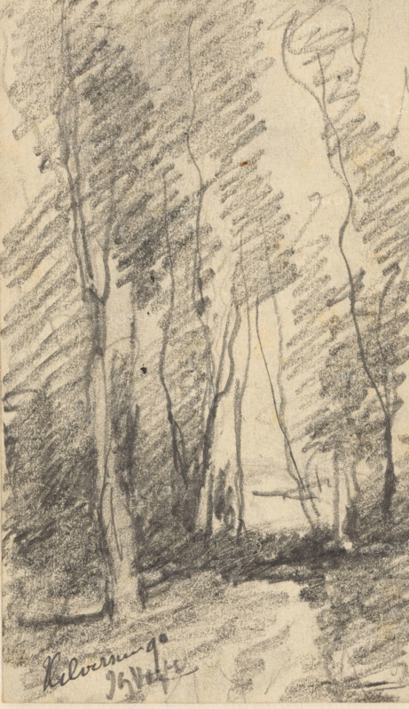 Landscape with trees in Hilversum, drawing, On verso a fragment of a pencil sketch., date and inscription: 'Hilversum 90', draftsman (artist): Johannes Gijsbert Vogel (signed by artist), 1890, draftsman (artist), paper, pencil, height 133 mm x width 76 mm, landscapes, Hilversum, A vertical charcoal or pencil sketch on textured paper showing a narrow view through a stand of tall, slender trees with rough, shaded foliage and long, sinuous trunks; dense, diagonal shading fills the spaces between the trunks, creating darker massing on the left and right edges and a lighter open vertical space near the center; the ground is suggested with horizontal, smudged strokes and darker undergrowth at the base of the trees; the overall tones are monochromatic with visible sketchy marks and variations in pressure.