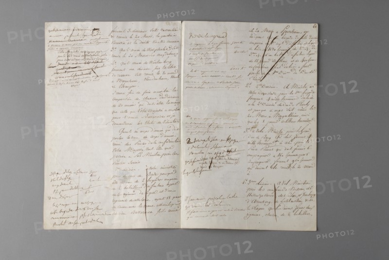 Napoléon Ier, Plan de la Campagne d'Allemagne