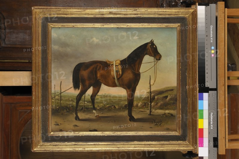 Louis Vernanchet, "Pur sang de l'empereur Napoléon III"