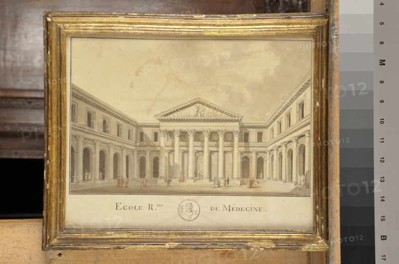 Ecole française, 'Ecole royale de médecine' (Royal medical Academy)