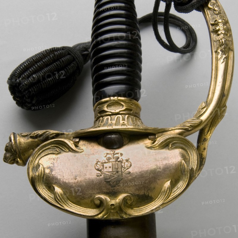 Détail d'épée type 1817 à ciselures, de Général de brigade, époque Second Empire