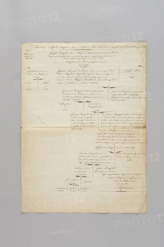 Généalogie de la famille Bonaparte