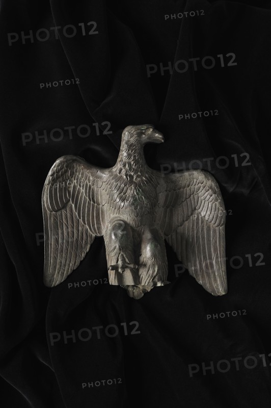 Aigle de drapeau