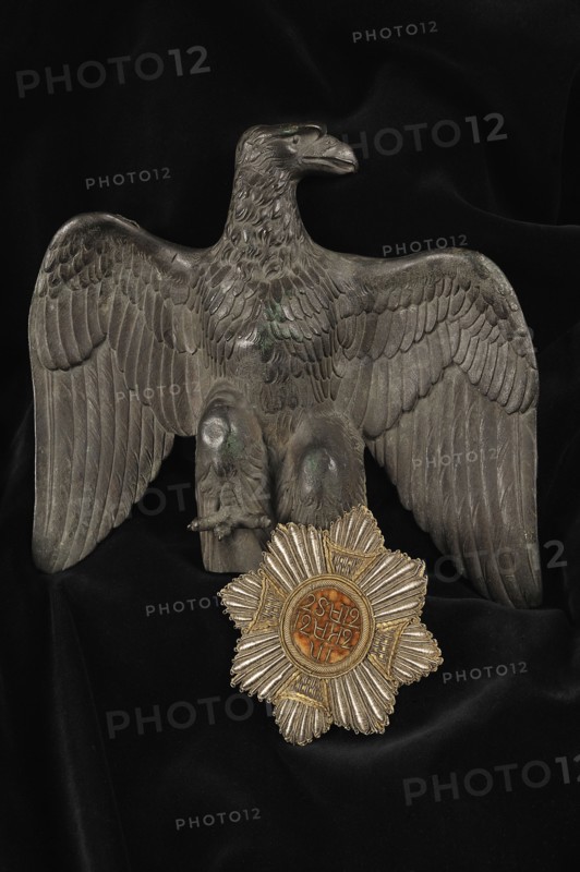 Aigle de Drapeau et Plaque de Chevalier de l'Empereur Napoléon 1er