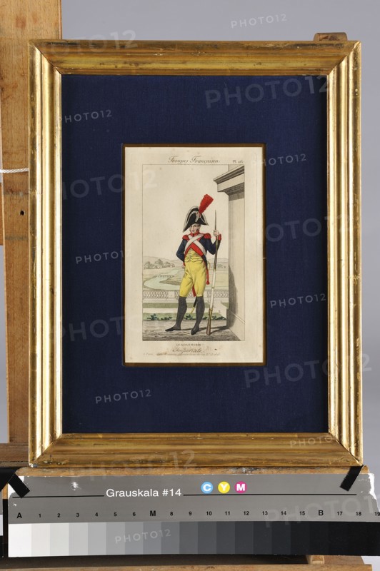 Troupes françaises, Gendarmerie Impériale