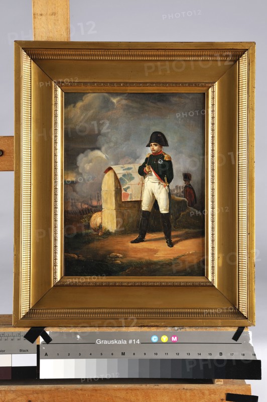 Ecole française du 19e siècle, L'empereur Napoléon 1er à Charleroi avant la bataille de Ligny (16 juin 1815)
