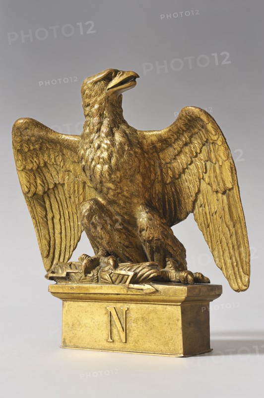 Aigle