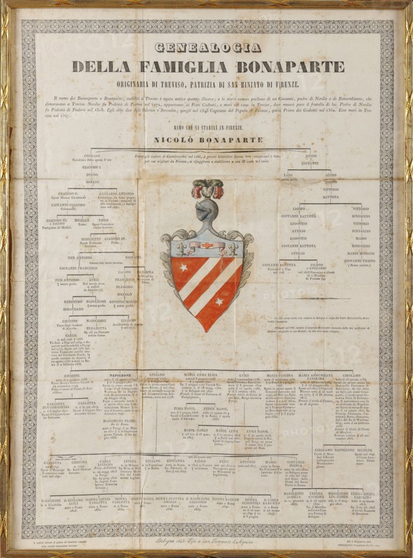 Bonaparte family genealogy