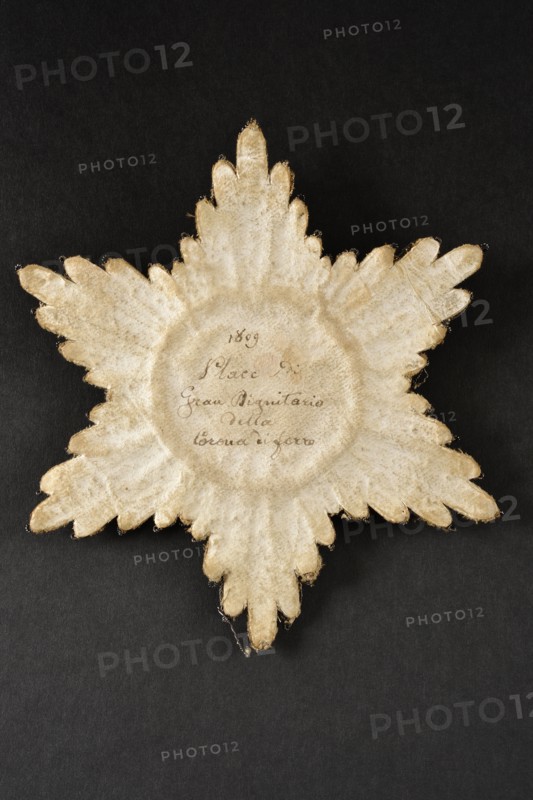 Large dignitary’s coat plaque of the Order of the Iron Crown (back)
