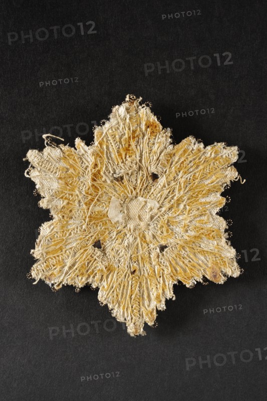 Costume plaque of the Order of the Crown of Westphalia (back)