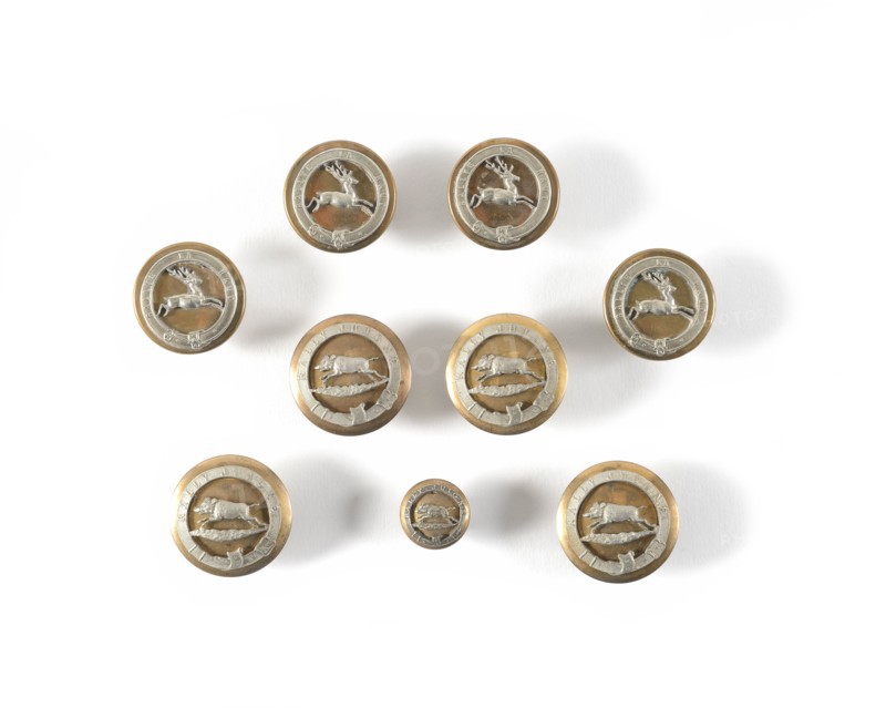 Neuf boutons de vénerie