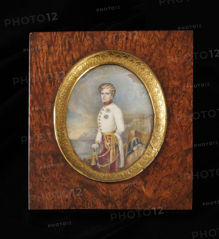 Le duc de Reichstadt en uniforme colonel du régiment d'infanterie Nassau