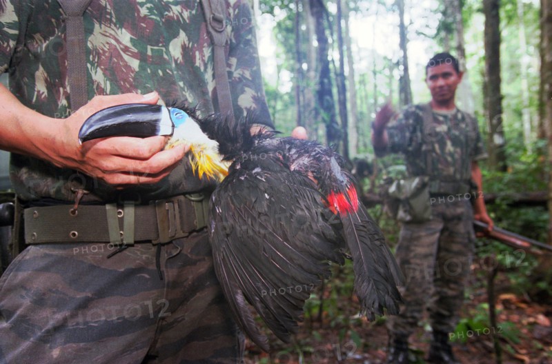 French Guyana Army 9Th Marine Infantry Regiment