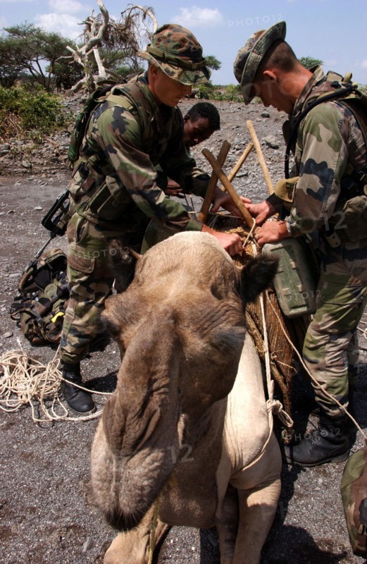 Djibouti Foreign Legion