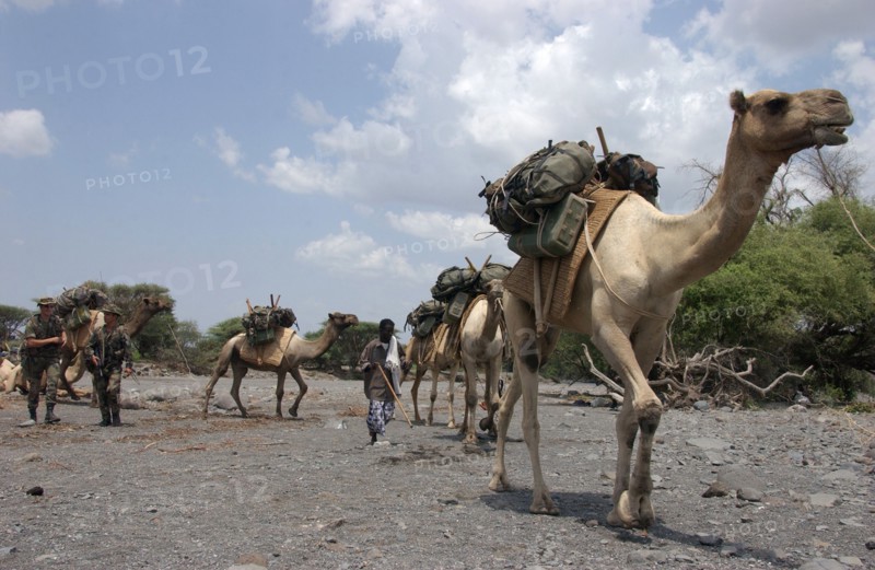Djibouti Foreign Legion