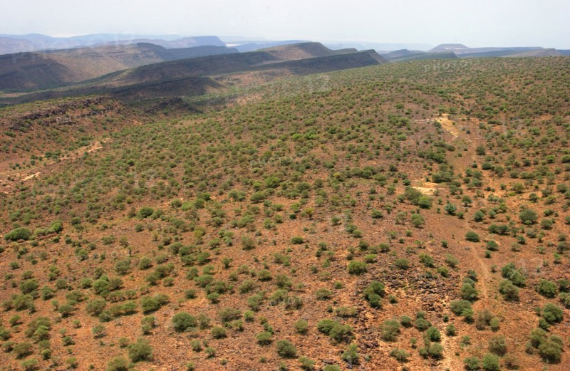 Djibouti Report