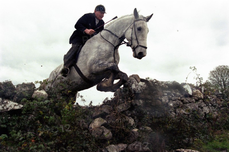 Chasse à courre