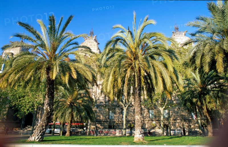 Park of  Ciutadella