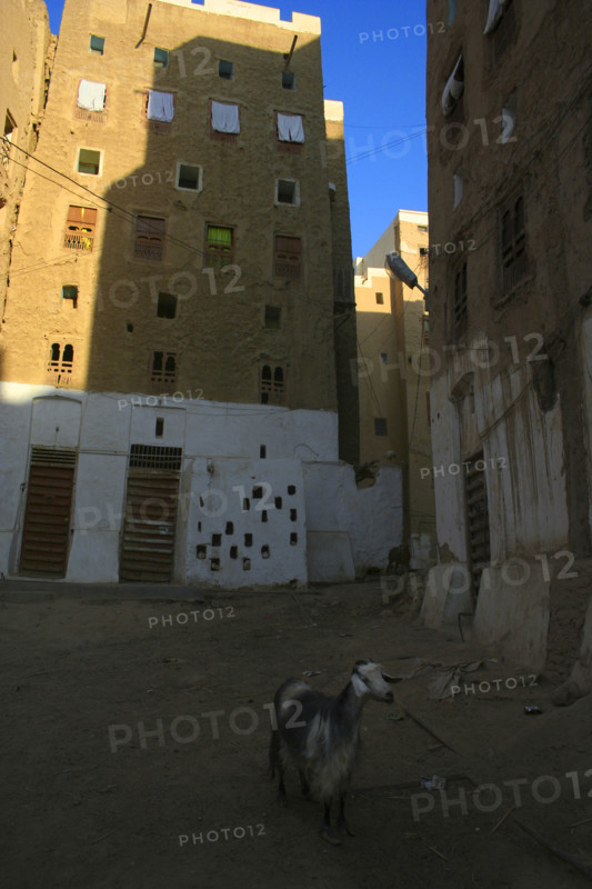 Yemen