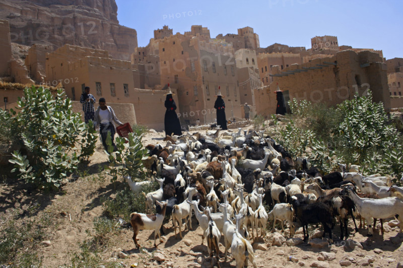 Yemen