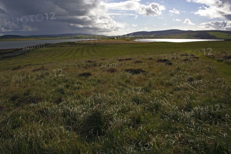 ECOSSE