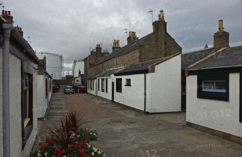 ECOSSE