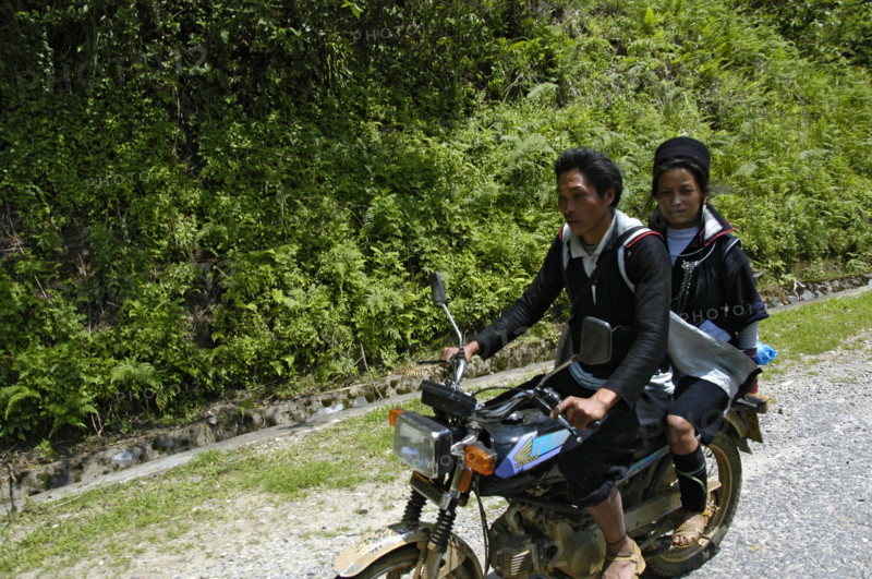 Vietnam Society