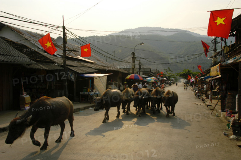 Vietnam Lai Chau