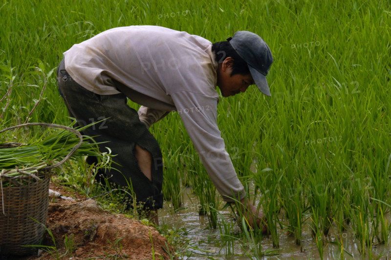 VIETNAM DIEN BIEN PHU