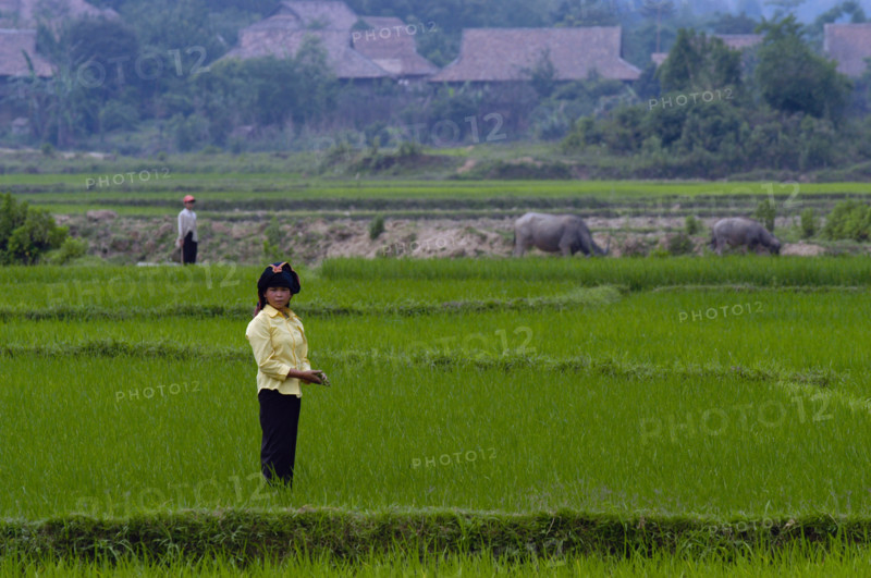 Vietnam Dien Bien Phu