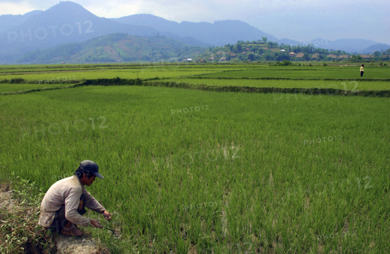 Vietnam Dien Bien Phu