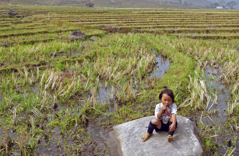 Vietnam