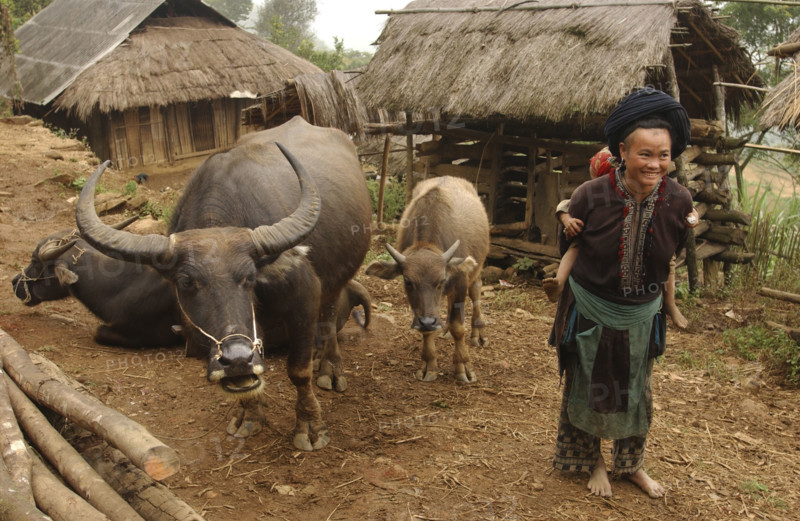 Vietnam