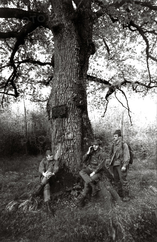 Army Parachutists France