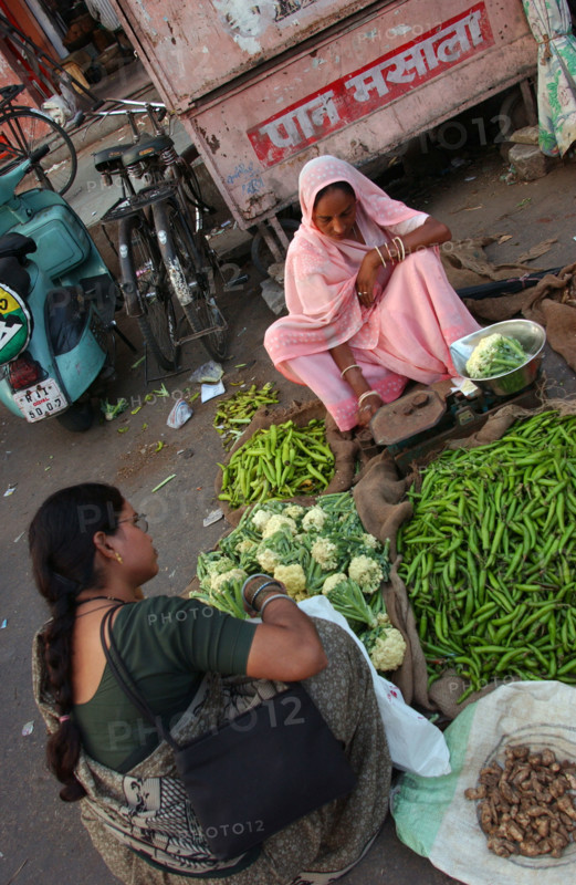 INDE JAIPUR SOCIETE