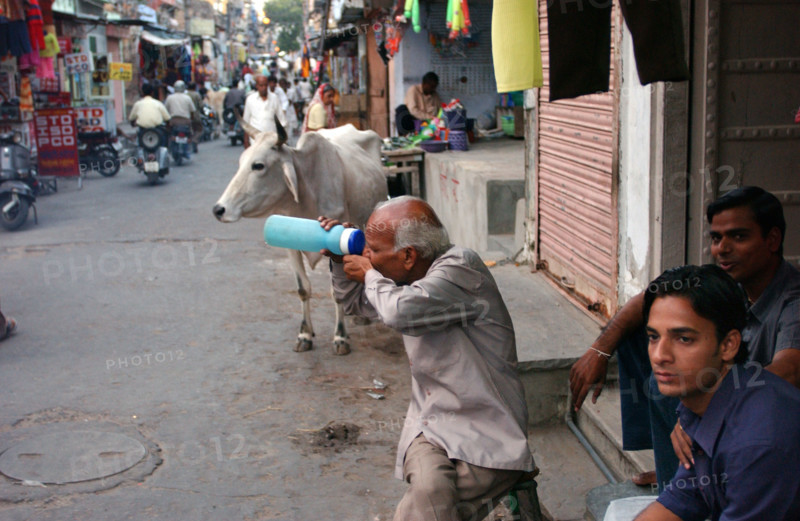 India Jaipur Society