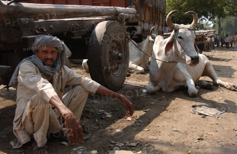AGRA-INDE-SOCIETE