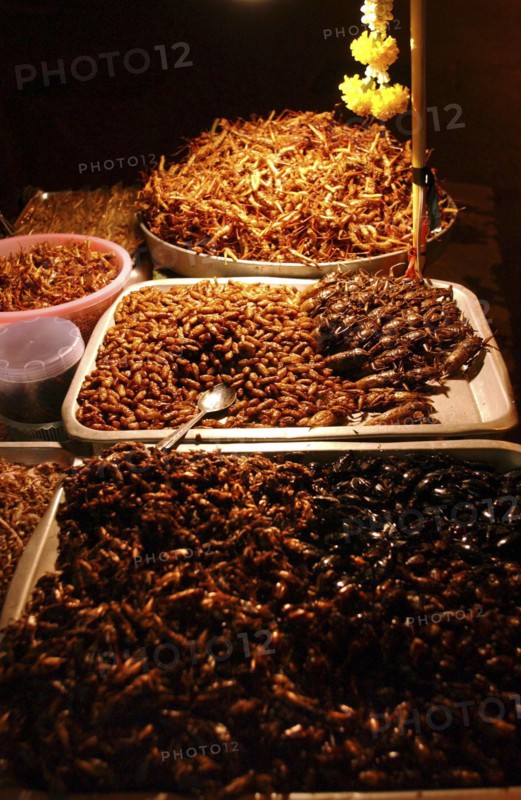 BANGKOK-THAILANDE-COMMERCE-DISTRIBUTION