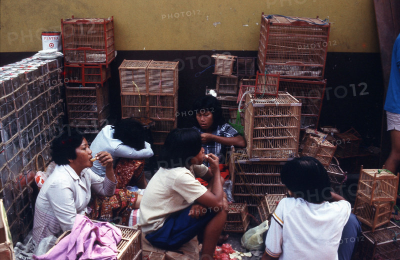 BANGKOK-THAILANDE- SOCIETE