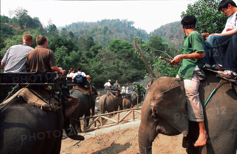 ELEPHANT-THAILAND-TOURISM