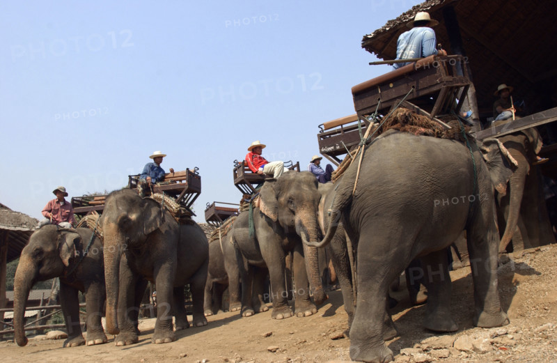 CHIANGMAI-THAILANDE-SOCIETE-TOURISME