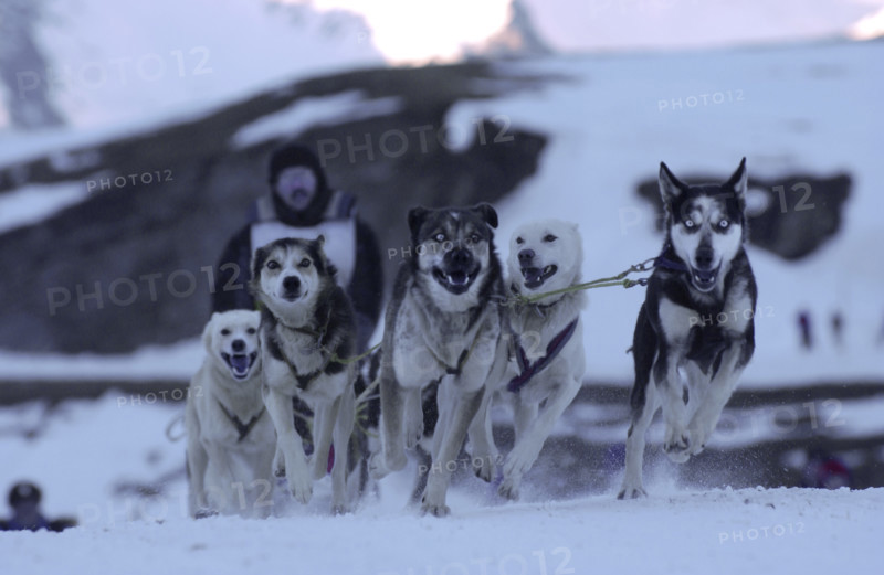 Grand Odyssee Race