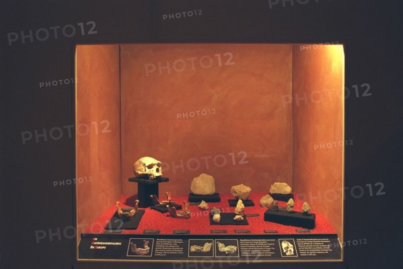 FRANCE PREHISTOIRE // FRANCE PREHISTORY