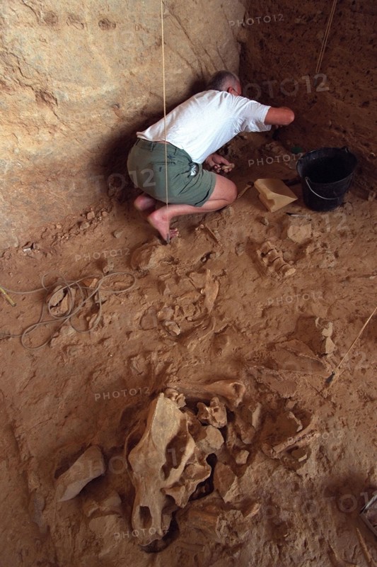 FRANCE PREHISTOIRE // FRANCE PREHISTORY