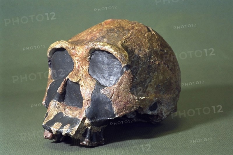 France Prehistory