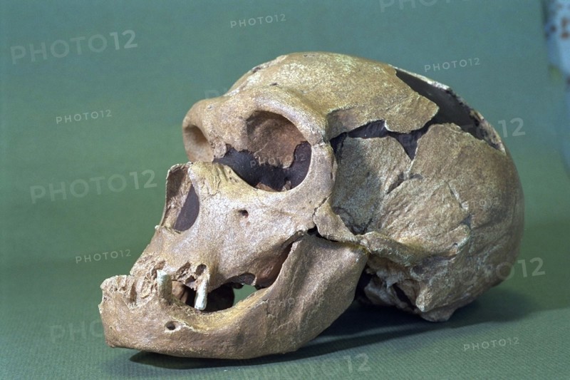 France Prehistory