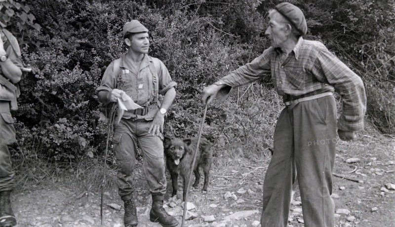 Armée française