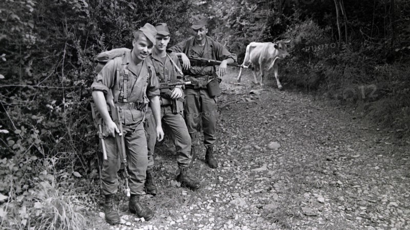 Armée française