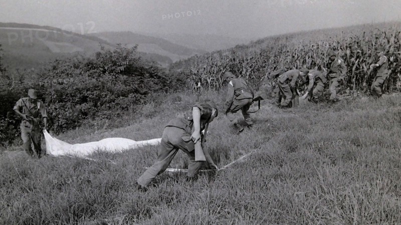 Armée française